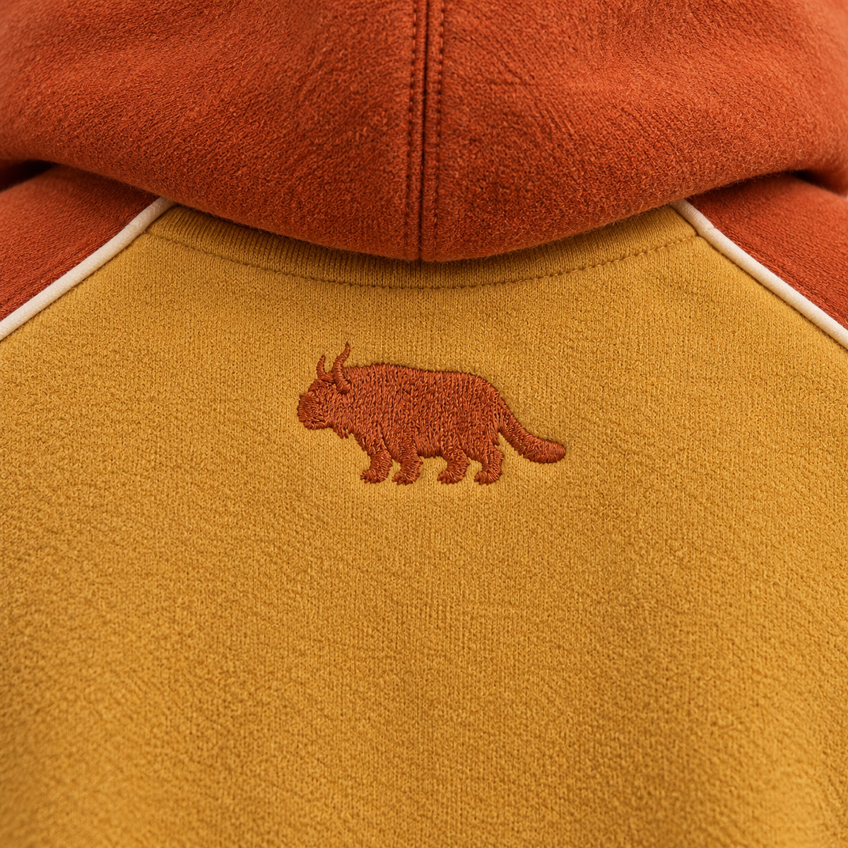 Embroidered air spiral and sky bison close-up